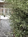 IMG_5168.webp