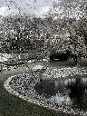 IMG_3800.webp