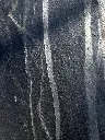 IMG_8250.webp