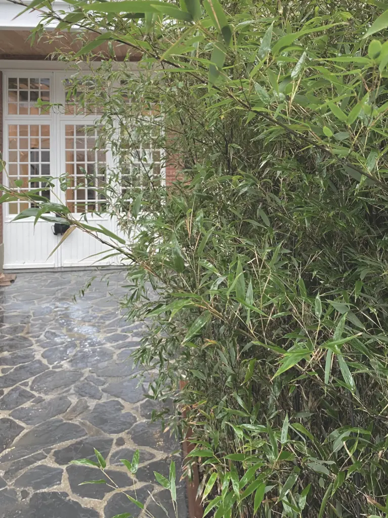 [WS-DALS-P017] Pas Japonais gris-bleu - Format S  +- 20 à 30 cm 