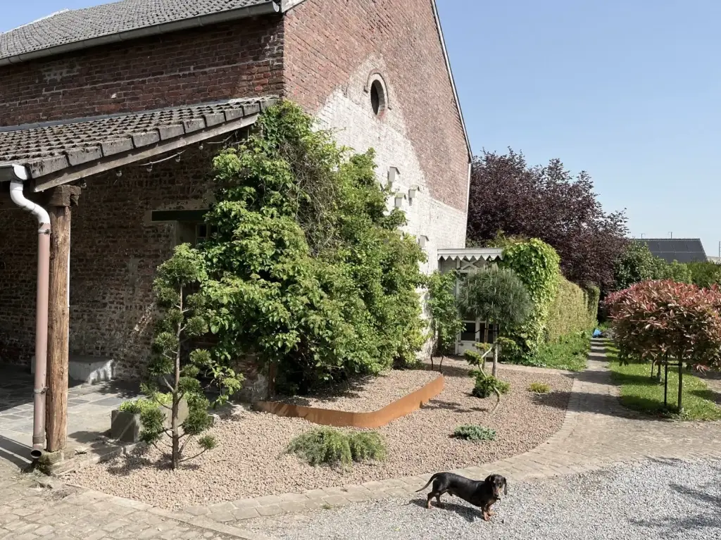 Corten boordrand — verpakking van 10 stuks